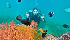 Diving in Nha Trang Beach Khanh Hoa Province